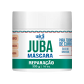 Mascara Reparação Juba 500g - Widi Care